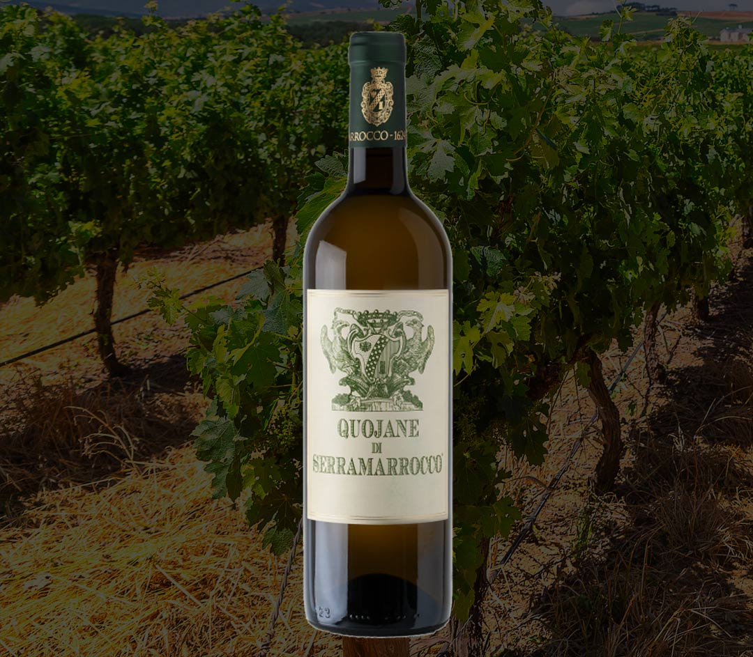 Vendita Vini BARONE DI SERRAMAROCCO Sicilia